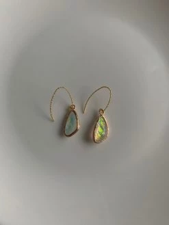 Gabi The Label Iridescent Earrings - Irregular