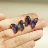 Gabi The Label Butterfly Earstuds - Blue *S925 Earposts EARRINGS