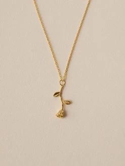 Gabi The Label GIFT SETS Daria Gift Set