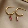 Gabi The Label ILLUMINATE Hoops - Rose Pink *18K Gold-plated EARRINGS