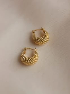 Gabi The Label EARRINGS INDIA Hoops - Gold *Gold-plated